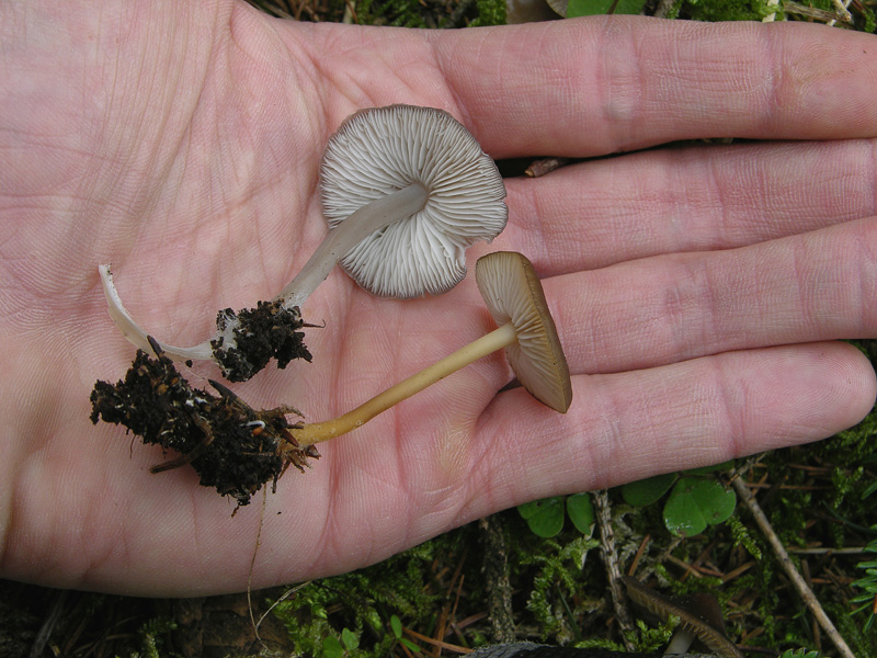 Qualche segno di vita....